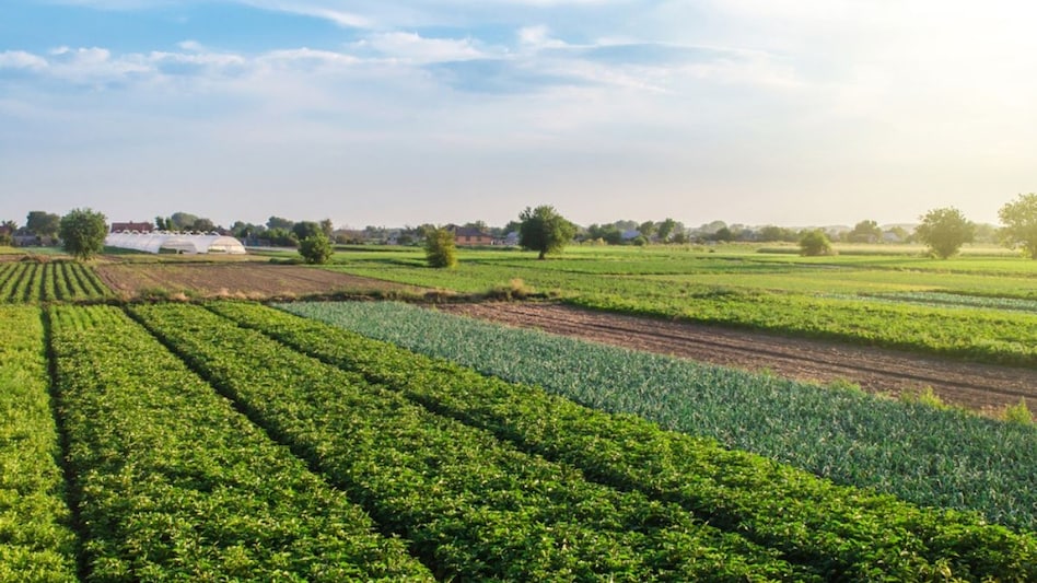 I have inherited a piece of agricultural land that my father bought in 1990 for Rs 2 lakh. I want to sell it now at Rs 25 lakh. How much tax will I need to pay? I have inherited a piece of agricultural land that my father bought in 1990 for Rs 2 lakh. I want to sell it now at Rs 25 lakh. How much tax will I need to pay?