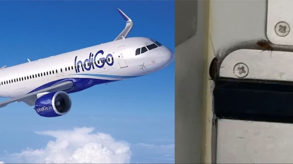 The video prompted concerns about the airline's hygiene standards. The video prompted concerns about the airline's hygiene standards.