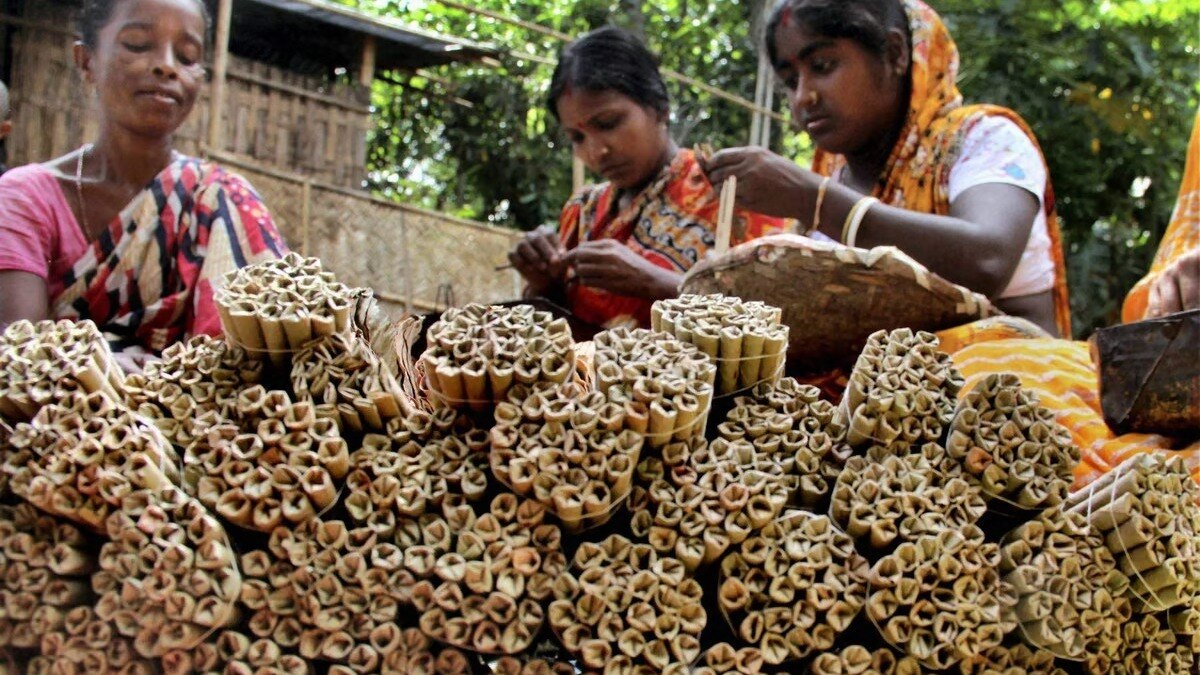  In December last year, the Michaung cyclone caused heavy rains in Andhra Pradesh, which damaged the crops in Eluru, East Godavari, Kakinada, Prakasam, Nellore, Bapatla, Palnadu, and Guntur. 