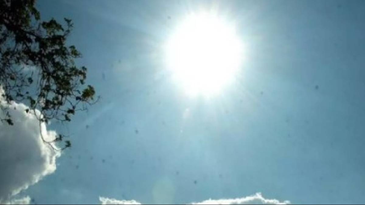 Heatwave conditions are not expected over north and central India in March, he said. Lok Sabha polls are likely to be held in April-May. Heatwave conditions are not expected over north and central India in March, he said. Lok Sabha polls are likely to be held in April-May.