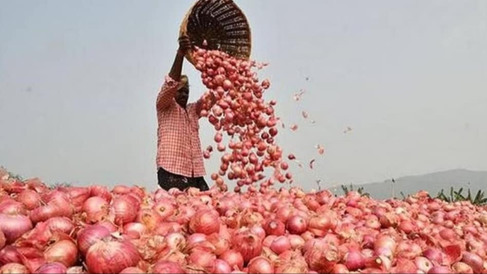 "India Opens the Onion Gates: Exporting 64,400 Tonnes to UAE and Bangladesh" "India Opens the Onion Gates: Exporting 64,400 Tonnes to UAE and Bangladesh"