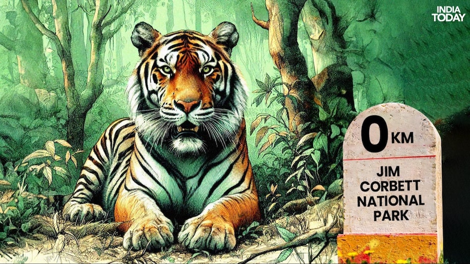 The government of Uttarakhand had earlier allowed safaris in core areas for some VVIPs. The government of Uttarakhand had earlier allowed safaris in core areas for some VVIPs.