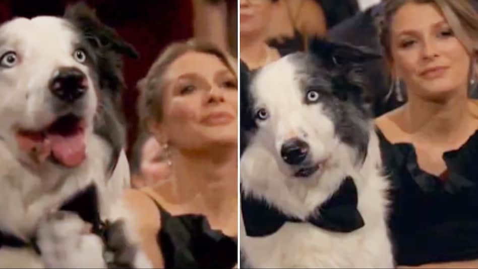 The viewers got to see Messi when he got a shout out from Kimmel in his opening monologue The viewers got to see Messi when he got a shout out from Kimmel in his opening monologue