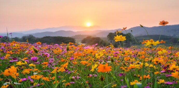 Manipur had the largest change since 1970 (2.3°C), while Delhi had the smallest (0.2°C). Manipur had the largest change since 1970 (2.3°C), while Delhi had the smallest (0.2°C).