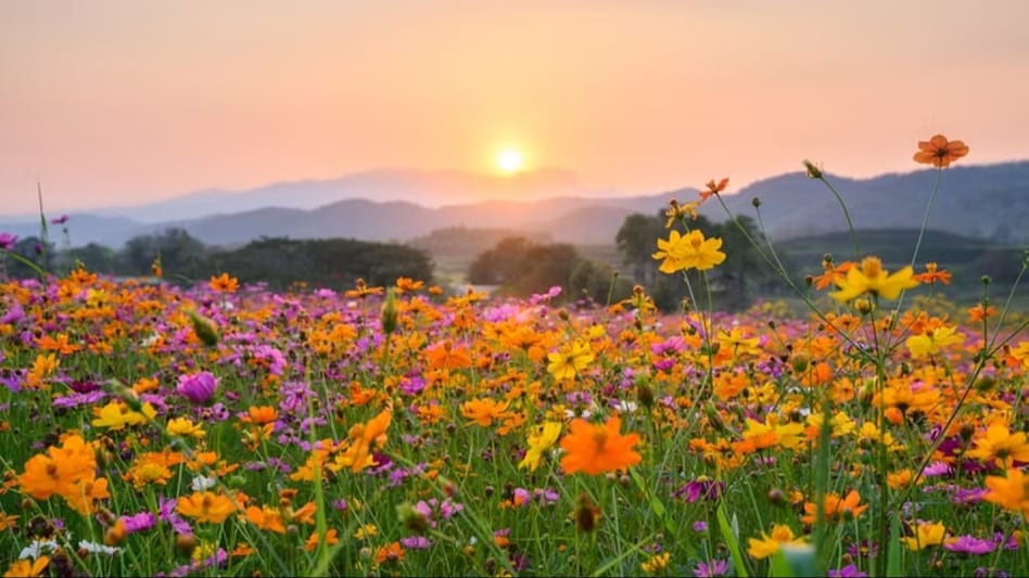 Manipur had the largest change since 1970 (2.3°C), while Delhi had the smallest (0.2°C). Manipur had the largest change since 1970 (2.3°C), while Delhi had the smallest (0.2°C).