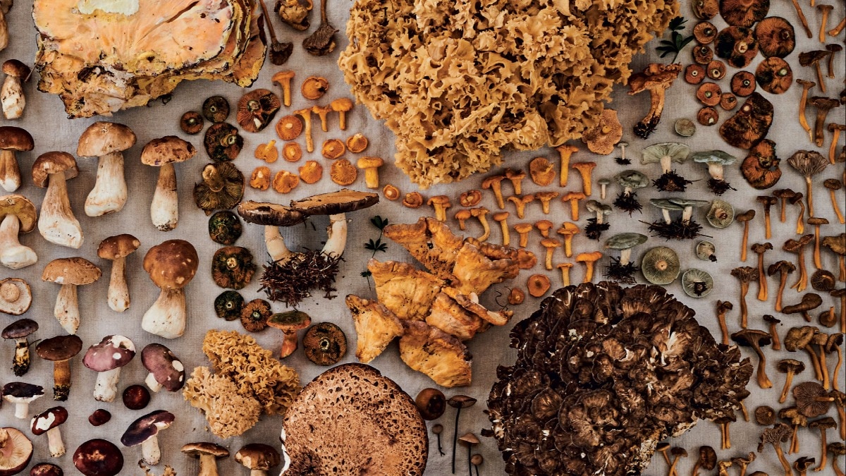 It may be a gloomy winter city with little international connectivity in a cold country where agriculture is a challenge. But Copenhagen, the capital of Denmark, is the undisputed gourmet capital of the world. It may be a gloomy winter city with little international connectivity in a cold country where agriculture is a challenge. But Copenhagen, the capital of Denmark, is the undisputed gourmet capital of the world.