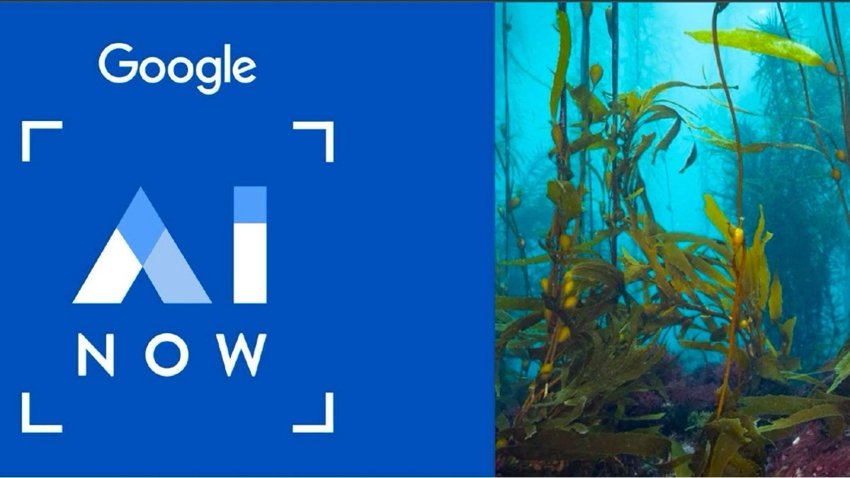 Sustainability Al projects powered by Google Sustainability Al projects powered by Google