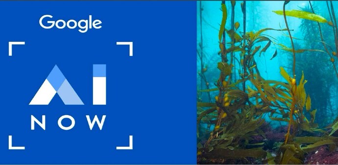 Sustainability Al projects powered by Google Sustainability Al projects powered by Google