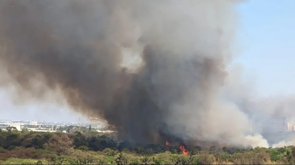 The fire was initially reported around 2:05 pm, with authorities suspecting that dry leaves, trees, and grass may have ignited due to the summer heat. The fire was initially reported around 2:05 pm, with authorities suspecting that dry leaves, trees, and grass may have ignited due to the summer heat.
