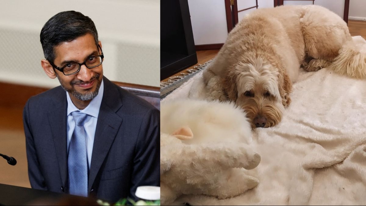 Google CEO Sundar Pichai has a pet named Jeffree Google CEO Sundar Pichai has a pet named Jeffree