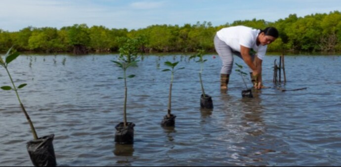 ADB 'overstated' claims on climate adaptation finance in Asia: Oxfam ADB 'overstated' claims on climate adaptation finance in Asia: Oxfam
