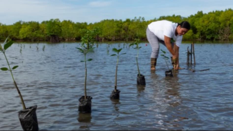 ADB 'overstated' claims on climate adaptation finance in Asia: Oxfam ADB 'overstated' claims on climate adaptation finance in Asia: Oxfam