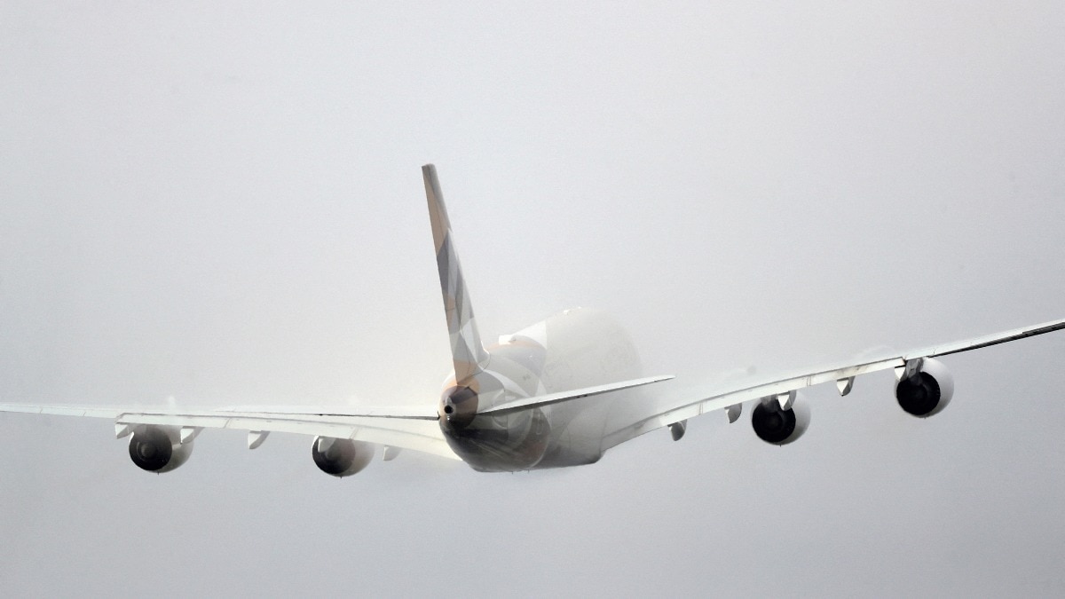 Indian airlines looking to grab on to the country's international traffic too, says CRISIL report Indian airlines looking to grab on to the country's international traffic too, says CRISIL report