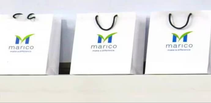 Marico reported a 5 per cent jump on a year-on-year (YoY) basis in its March 2024 quarter consolidated net profit at Rs 320 crore on Monday. Marico reported a 5 per cent jump on a year-on-year (YoY) basis in its March 2024 quarter consolidated net profit at Rs 320 crore on Monday.