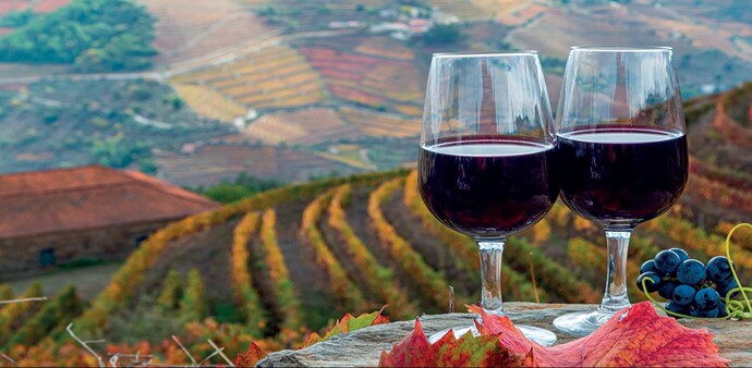 Visit the Douro Valley in Portugal, the only region in the world that can legally produce port wine Visit the Douro Valley in Portugal, the only region in the world that can legally produce port wine