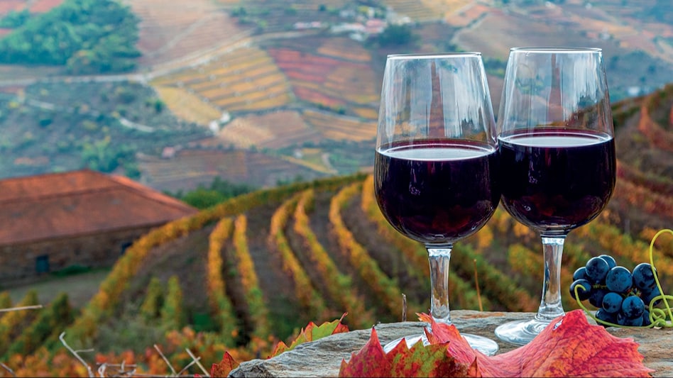 Visit the Douro Valley in Portugal, the only region in the world that can legally produce port wine Visit the Douro Valley in Portugal, the only region in the world that can legally produce port wine