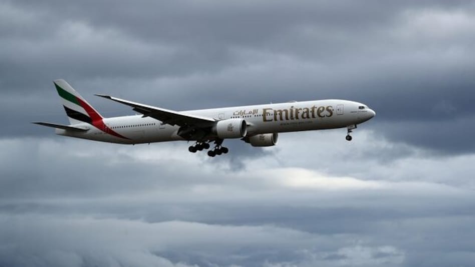39 flamingos die after collision with Emirates flight in Mumbai 39 flamingos die after collision with Emirates flight in Mumbai