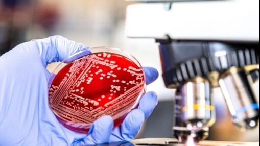 The delay in drug registration and access plans could result in a public health crisis for India, where drug-resistant infections are rapidly escalating. Representational photo The delay in drug registration and access plans could result in a public health crisis for India, where drug-resistant infections are rapidly escalating. Representational photo