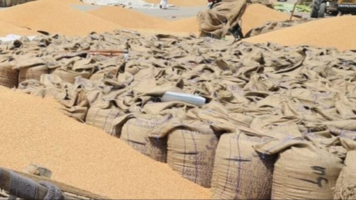 The government had announced an MSP of Rs 2,275 per quintal for wheat, which is Rs 150 per quintal more than the previous season. The government had announced an MSP of Rs 2,275 per quintal for wheat, which is Rs 150 per quintal more than the previous season.