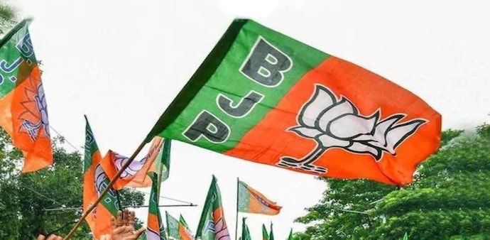 BJP bags all 7 seats in Delhi BJP bags all 7 seats in Delhi
