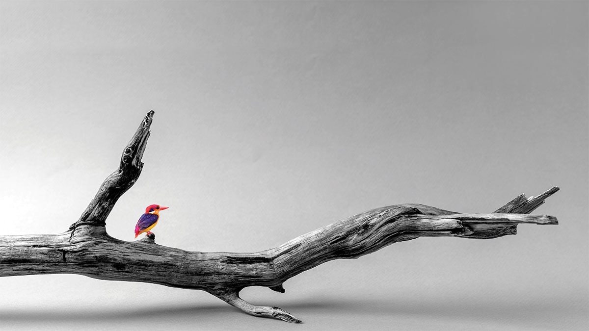 With extreme weather increasingly putting the country and its economy at risk, India should explore climate finance pathways to fund its net-zero journey towards a greener future With extreme weather increasingly putting the country and its economy at risk, India should explore climate finance pathways to fund its net-zero journey towards a greener future