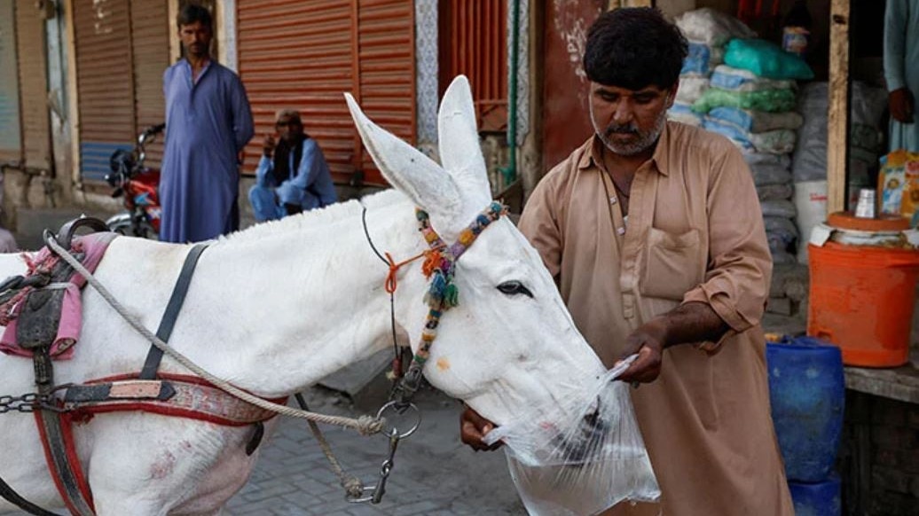 Pakistan's Finance Minister Muhammad Aurangzeb on Tuesday presented the Economic Survey 2023-24 Pakistan's Finance Minister Muhammad Aurangzeb on Tuesday presented the Economic Survey 2023-24