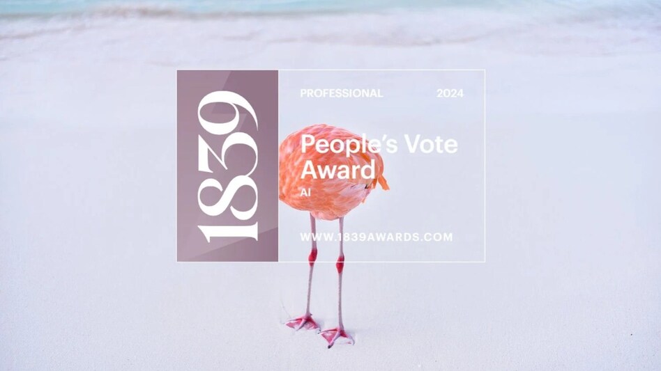 F L A M I N G O N E F L A M I N G O N E