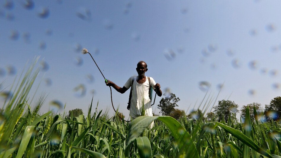 Fertiliser stocks hit fresh high thanks to GST exemption hope (PC: Reuters) Fertiliser stocks hit fresh high thanks to GST exemption hope (PC: Reuters)
