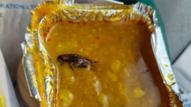 Vande Bharat passenger finds cockroach in food, Railways reacts