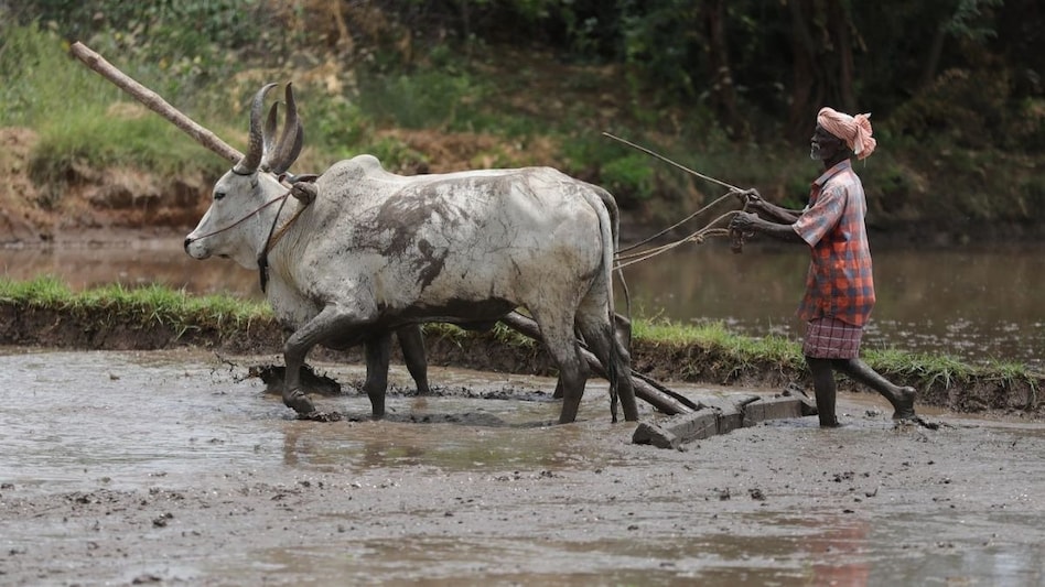 As of June 20, ~29.7 crore unorganised workers have registered on e-Shram portal of Government of India As of June 20, ~29.7 crore unorganised workers have registered on e-Shram portal of Government of India