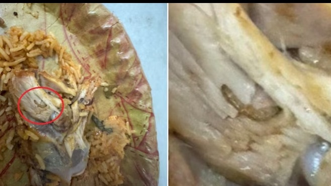 Now, Hyderabad man finds worm in chicken biryani ordered online. Swiggy responds 