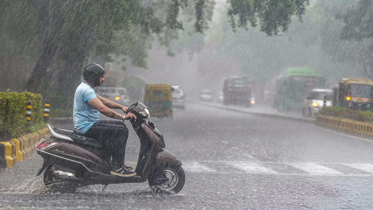 Rainfall update: IMD predicts heavy rainfall across the country Rainfall update: IMD predicts heavy rainfall across the country
