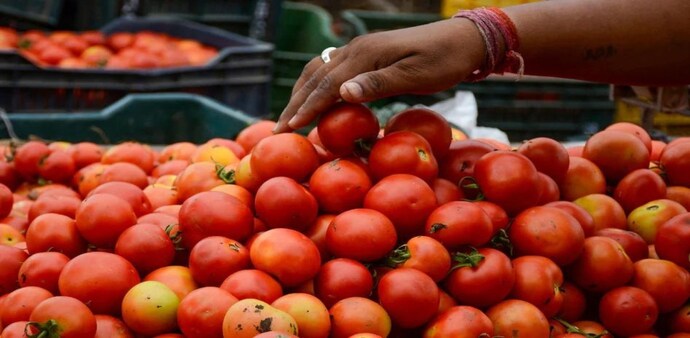 Tomato prices hike to Rs 90 per kg in Delhi due to rains Tomato prices hike to Rs 90 per kg in Delhi due to rains
