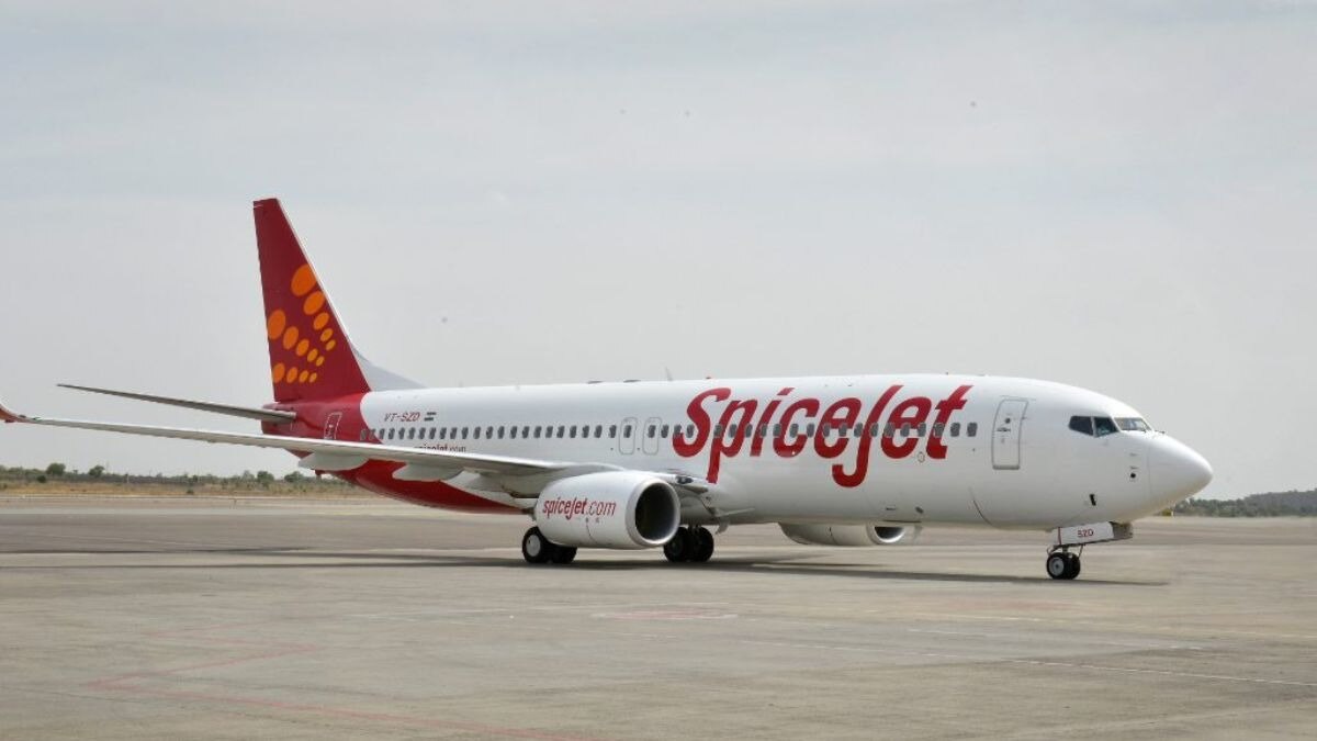 SpiceJet stock fell to a 52-week low of Rs 28 on September 19, 2023 and rose to a 52 week high of Rs 77.50 on February 5, 2024 SpiceJet stock fell to a 52-week low of Rs 28 on September 19, 2023 and rose to a 52 week high of Rs 77.50 on February 5, 2024