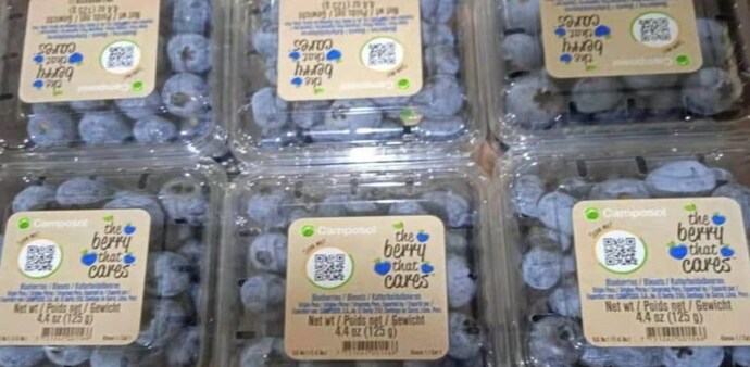 Ninjacart said with this partnership the two companies aim to not boost blueberry consumption in the Tier-II cities of India but also strengthen agricultural ties between the two countries. Ninjacart said with this partnership the two companies aim to not boost blueberry consumption in the Tier-II cities of India but also strengthen agricultural ties between the two countries.