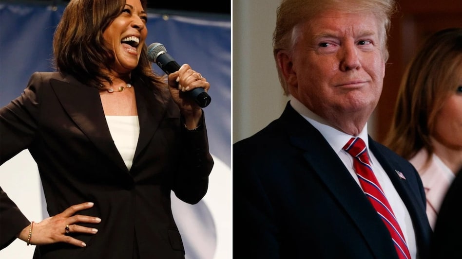 Donald Trump vs Kamala Harris: Who is more popular? Donald Trump vs Kamala Harris: Who is more popular?