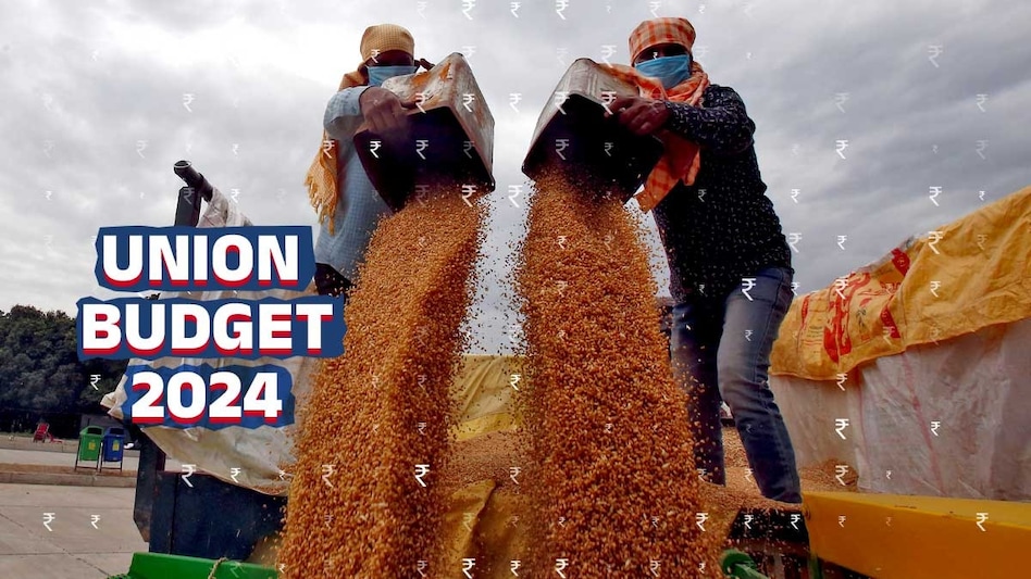 Finance Minister Nirmala Sitharaman's announcements for agriculture sector Finance Minister Nirmala Sitharaman's announcements for agriculture sector