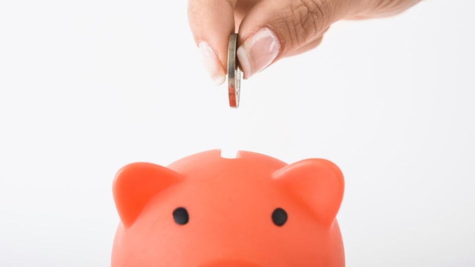 Savings in physical assets have been the dominant and rising component, says the Economic Survey 2024 Savings in physical assets have been the dominant and rising component, says the Economic Survey 2024