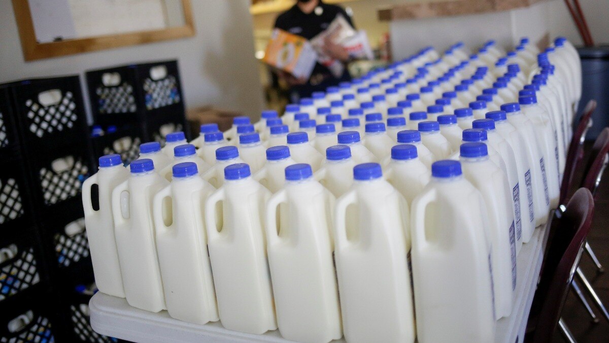 FSSAI withdraws order to remove claims of A1, A2 milk from packaging FSSAI withdraws order to remove claims of A1, A2 milk from packaging