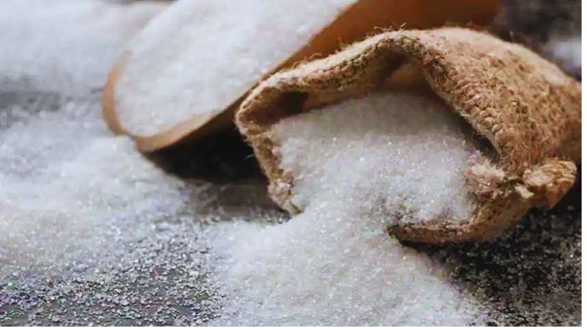 Bajaj Hindusthan Sugar Ltd was up 8.15 per cent at Rs 44.06. Balrampur Chini Mills also climbed 6.63 per cent to Rs 617. Bajaj Hindusthan Sugar Ltd was up 8.15 per cent at Rs 44.06. Balrampur Chini Mills also climbed 6.63 per cent to Rs 617.