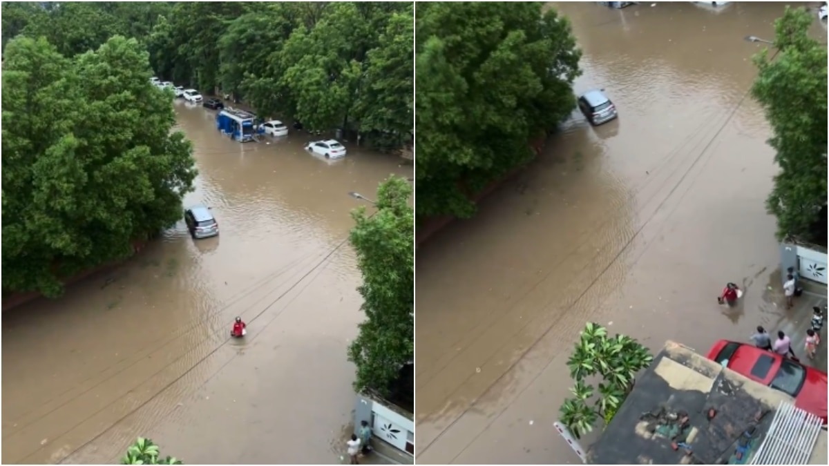Zomato agent delivers food in floodwaters in Gujarat, internet urges Deepinder Goyal to reward him
