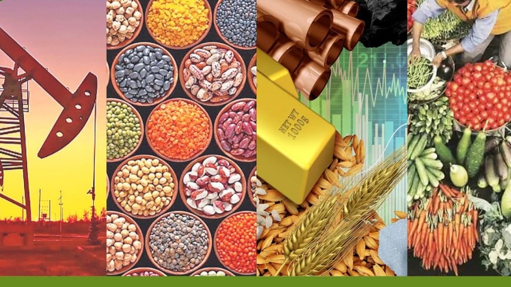 MCX dominated the market, accounting for 98 percent of the total turnover followed by NSE at 1.7 percent and NCDEX at 0.3 percent. MCX dominated the market, accounting for 98 percent of the total turnover followed by NSE at 1.7 percent and NCDEX at 0.3 percent.