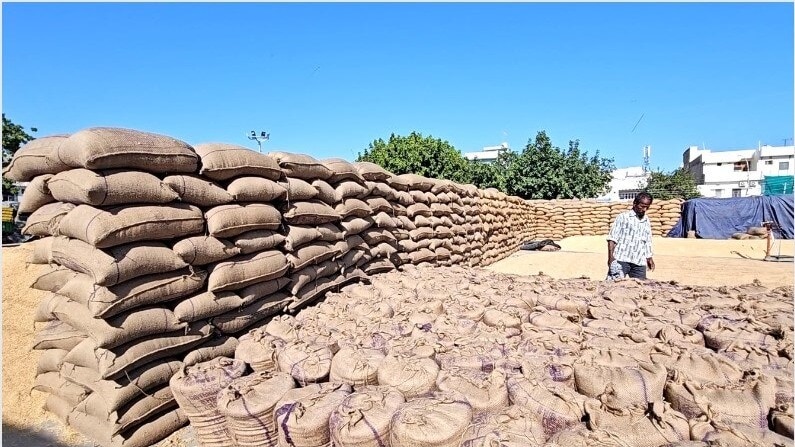 India is the world’s largest rice exporter and the government had in July last year imposed a ban on non-basmati rice in order to ensure adequate domestic supplies and cool prices. India is the world’s largest rice exporter and the government had in July last year imposed a ban on non-basmati rice in order to ensure adequate domestic supplies and cool prices.