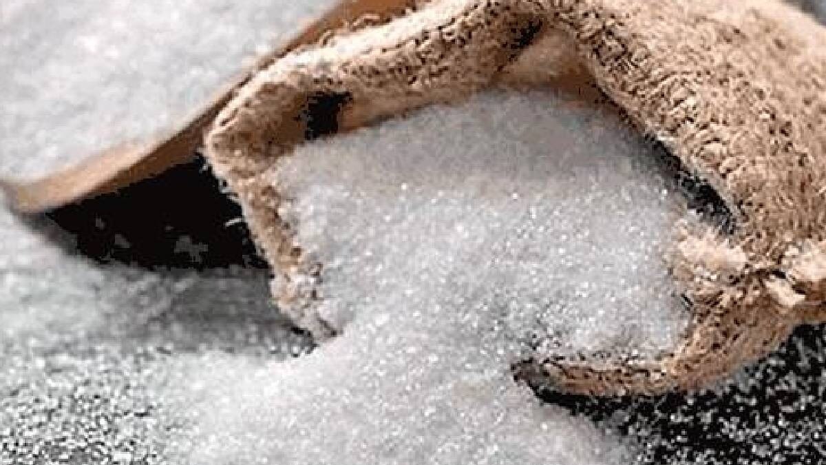 Even if the sugar export is allowed, the subsidy on exports is a thing of the past, InCred Equities said adding that the prevailing sugar prices do not favour exports. Even if the sugar export is allowed, the subsidy on exports is a thing of the past, InCred Equities said adding that the prevailing sugar prices do not favour exports.