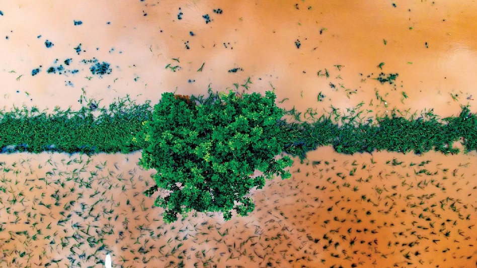 As climate chaos intensifies, businesses turn to parametric insurance: Will it be the ultimate hedge? As climate chaos intensifies, businesses turn to parametric insurance: Will it be the ultimate hedge?