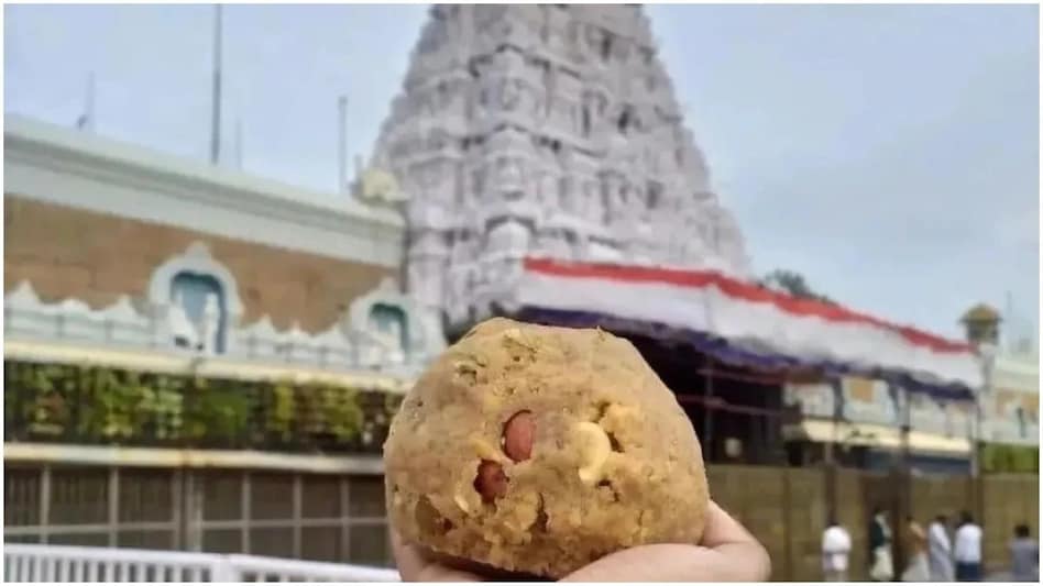 The temple’s kitchen reportedly stocks 8-9 lakh laddus daily during Brahmotsavam to accommodate the vast number of visitors. The temple’s kitchen reportedly stocks 8-9 lakh laddus daily during Brahmotsavam to accommodate the vast number of visitors.