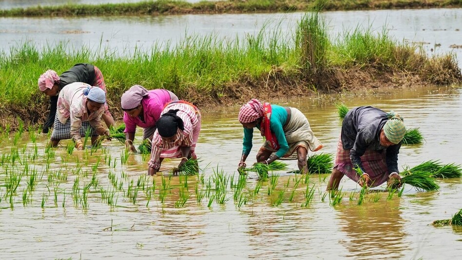 The agricultural sector is a key part of the country’s economy and is heavily dependent on monsoon. India fulfils almost 70 percent of its needs for farms, reservoirs and aquifers from southwest monsoon. The agricultural sector is a key part of the country’s economy and is heavily dependent on monsoon. India fulfils almost 70 percent of its needs for farms, reservoirs and aquifers from southwest monsoon.