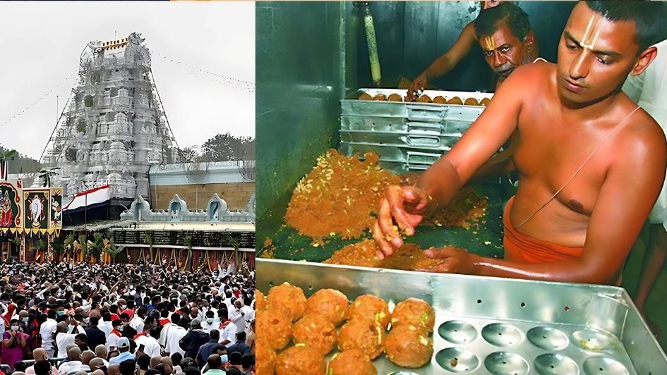 Tirupati prasad row: Purification ritual held in temple, AR Dairy gets show cause notice