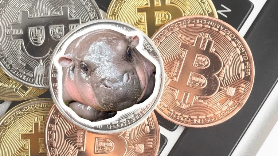 They purchased the tokens on September 10 and sold $104,000 worth of Moodeng for $17,900 on September 27, resulting in a profit of $38.64 million. They purchased the tokens on September 10 and sold $104,000 worth of Moodeng for $17,900 on September 27, resulting in a profit of $38.64 million.