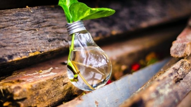 This move by SEBI aims to provide HNIs with a flexible, higher-risk product while ensuring that strong regulatory controls remain in place. This move by SEBI aims to provide HNIs with a flexible, higher-risk product while ensuring that strong regulatory controls remain in place.